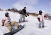 選べるスキー場！