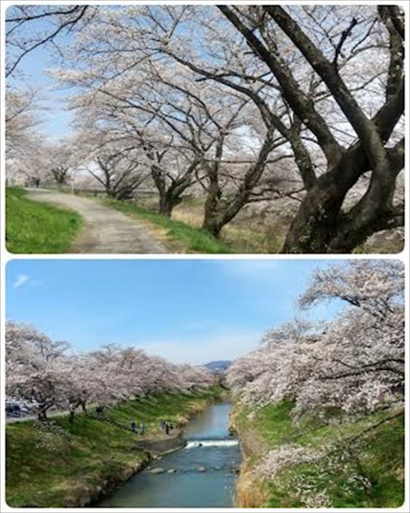 郡山市藤田川