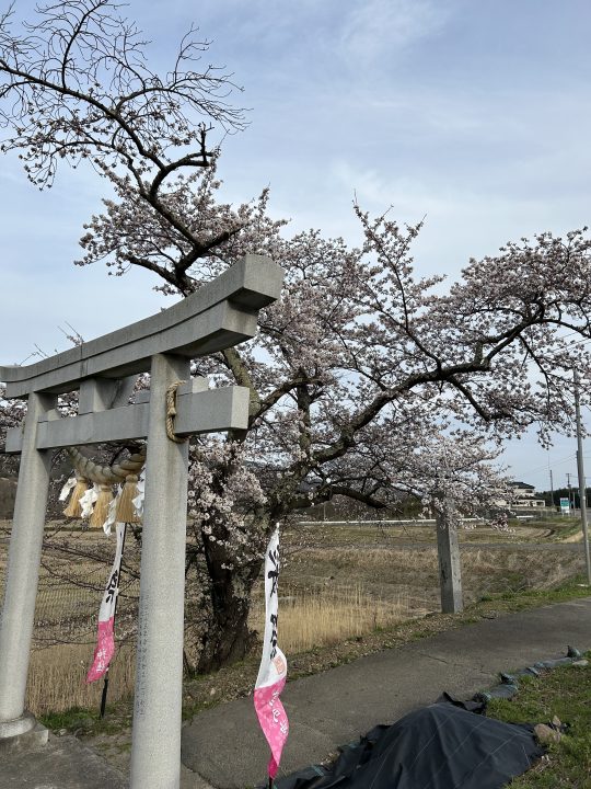 鳥居