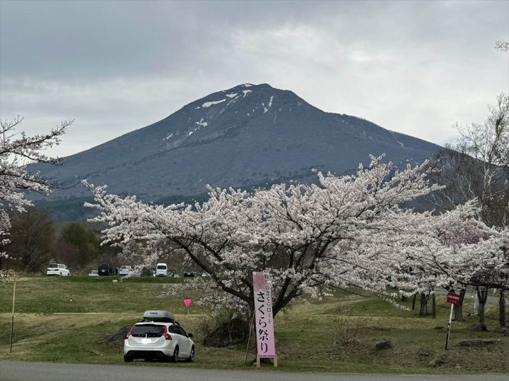 磐梯山と桜