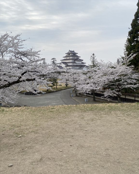 2023年4月5日撮影