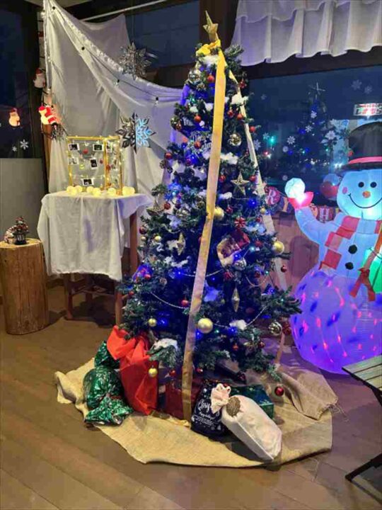 クリスマス装飾・1