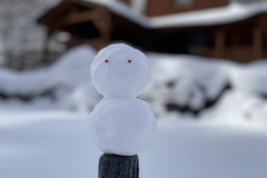 雪だるまと24号館