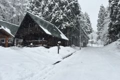 しゃくなげ別荘地の坂道