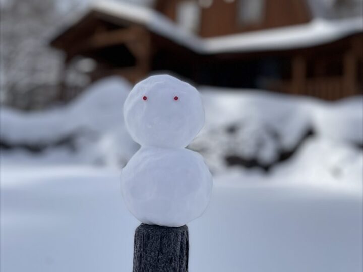 雪だるまと24号館 雪だるまと24号館