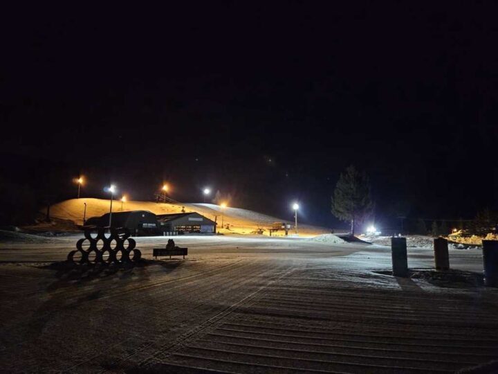 朝のネコママウンテン・2