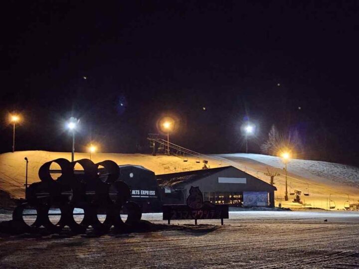 朝のネコママウンテン・1