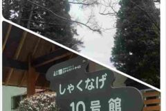 しゃくなげ10号館