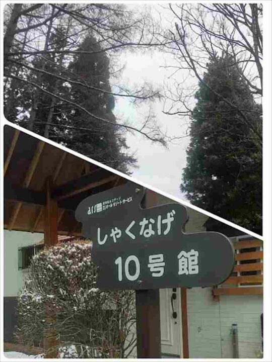 しゃくなげ10号館