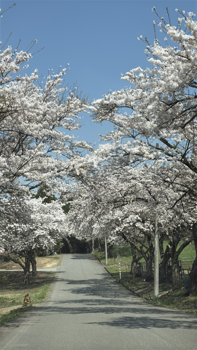 町営牧場②