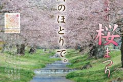観音寺川桜まつり2025_