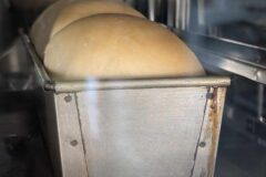 焼いている途中の食パン