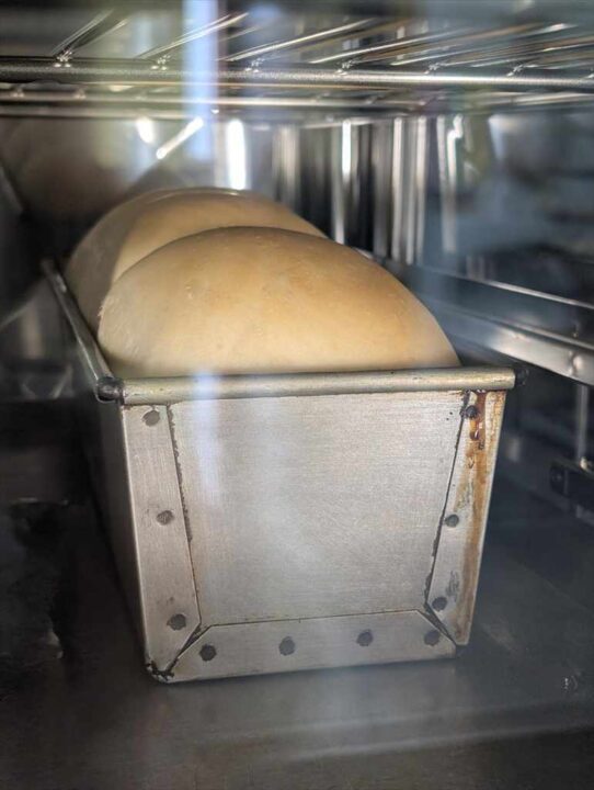 焼いている途中の食パン