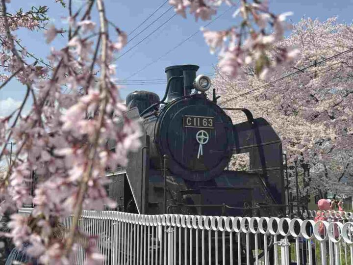 桜と機関車