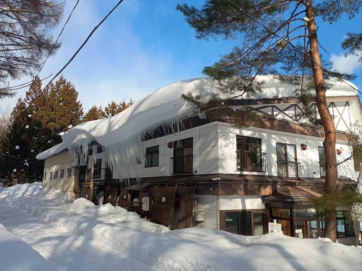 2025しゃくなげ19号館雪害