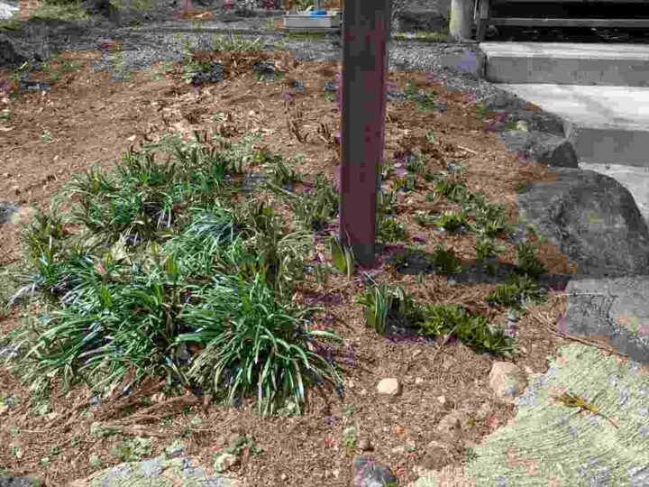 賑やかになってきた看板の足元