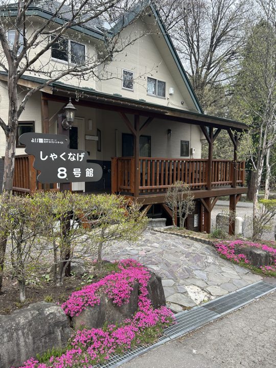 しゃくなげ8号館・芝桜