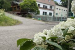 しゃくなげ19号館