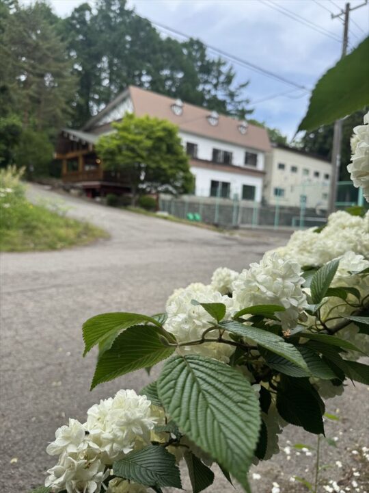 しゃくなげ19号館