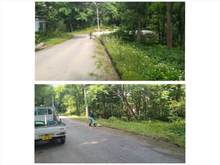 道路脇　刈払