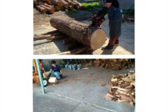 玉切り、薪割り 1