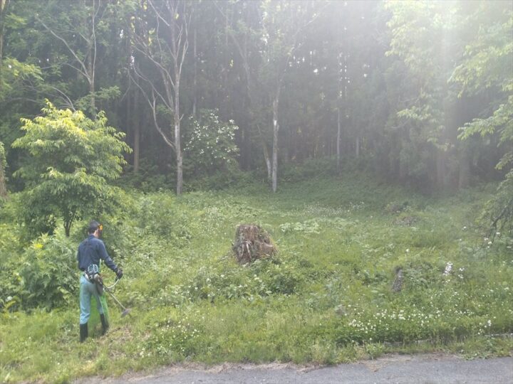 別荘地　空地　刈払