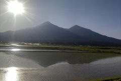 水面に映る
