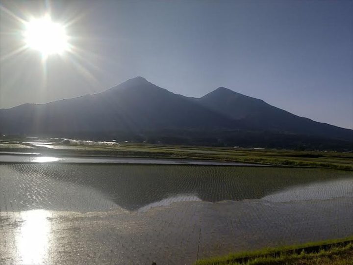 水面に映る