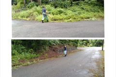 道路沿い刈払