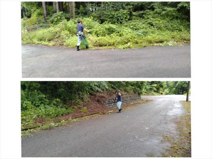 道路沿い刈払