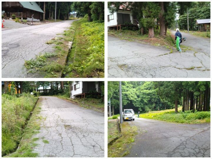 道路沿い　刈払