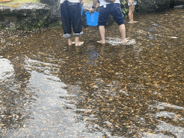 緑の村