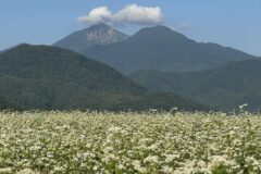 磐梯山とそば畑