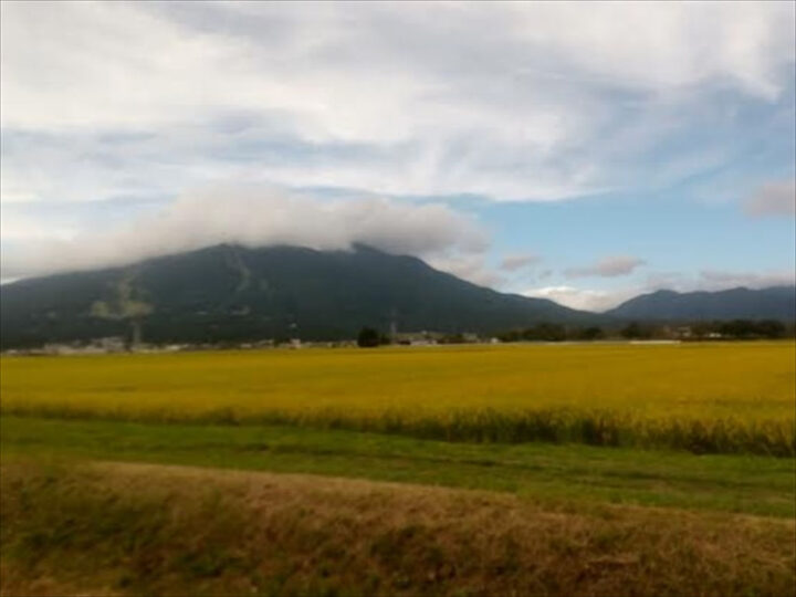 磐梯山と稲穂