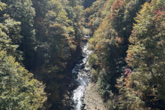 渓谷を見下ろす