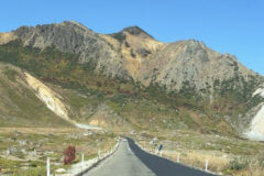 まるで外国のよう