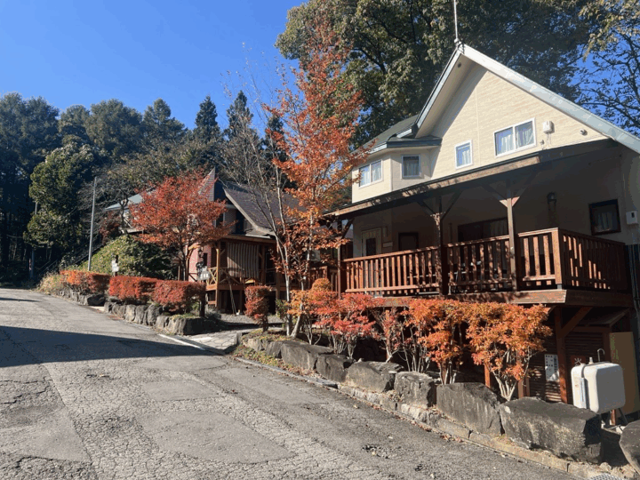 しゃくなげの紅葉