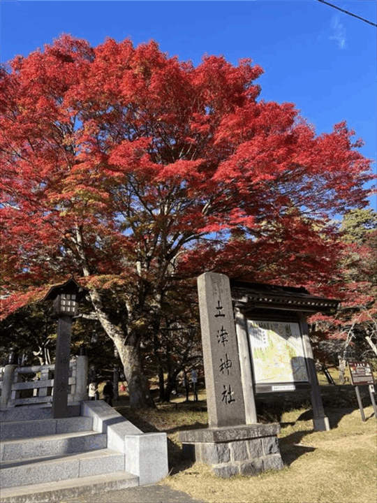 2024紅葉