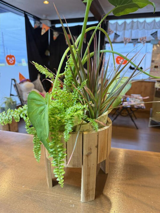 寄せ植え