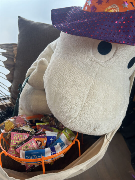 お菓子プレゼント_