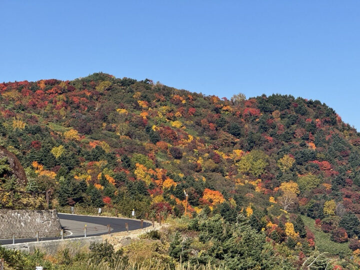 青空と紅葉