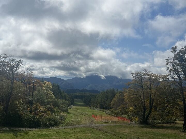 山頂から見る景色