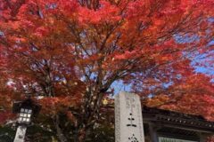 土津神社　鮮やかな紅葉