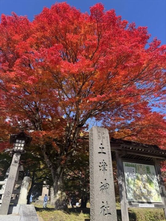 土津神社　鮮やかな紅葉