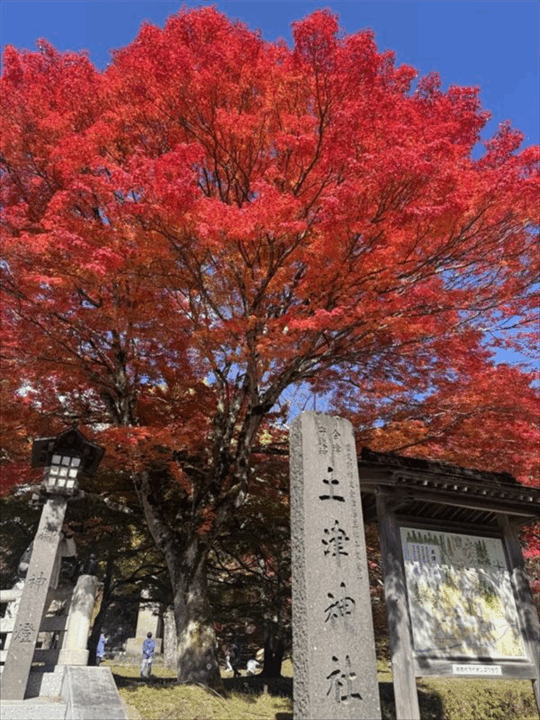 土津神社 鮮やかな紅葉