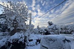 一面銀世界でした