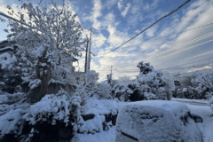 一面銀世界でした