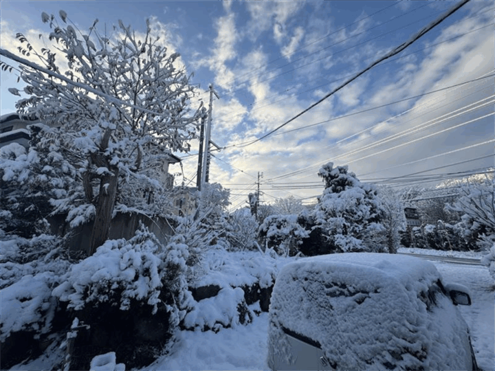 一面銀世界でした