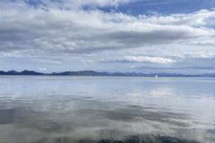 はくちょう丸②