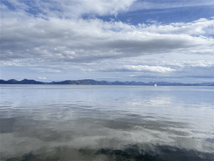 はくちょう丸②